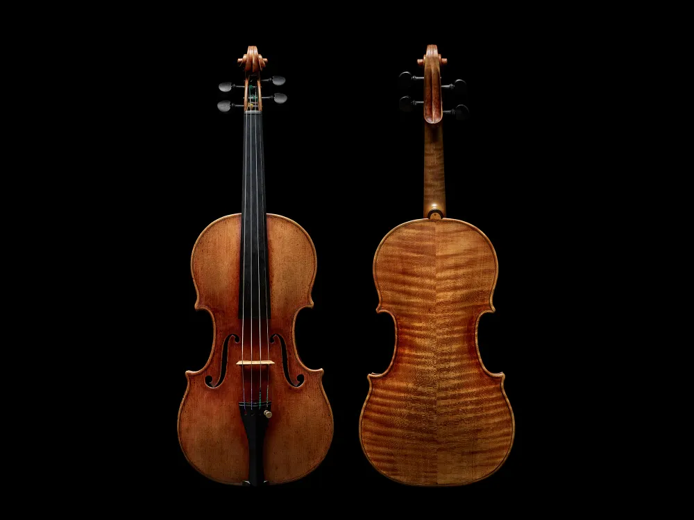 Front and back of violin